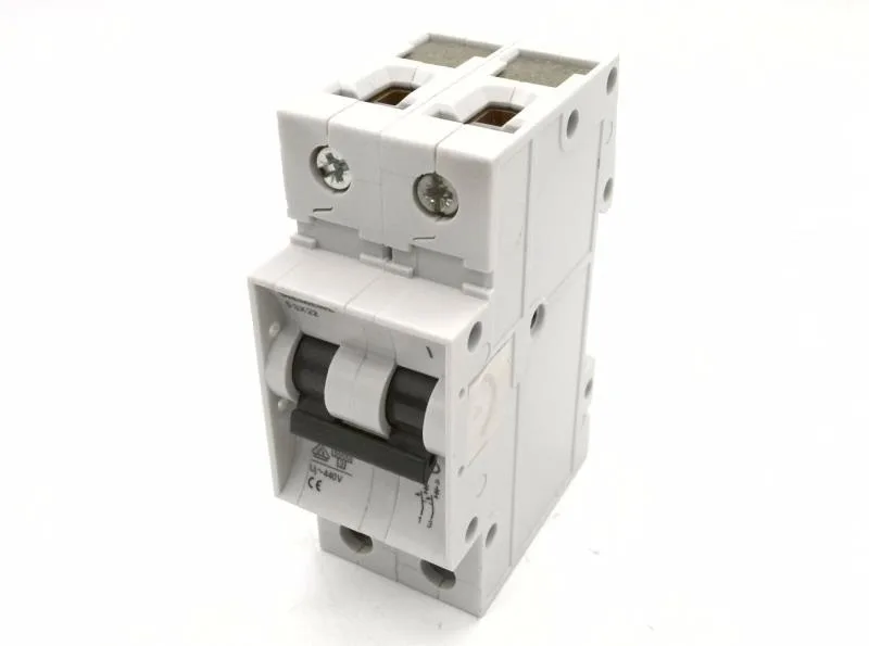 Siemens 5SX2208-7 — 2-Pole MCB (DIN Rail) (image 2)