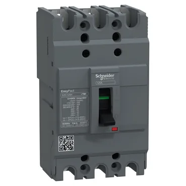 Schneider Electric EZC125H3125
