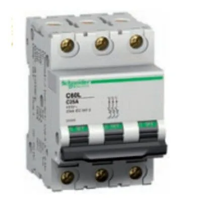 Schneider Electric 25501