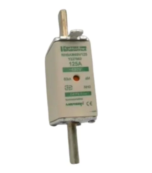 Schneider Electric DF2GA1121