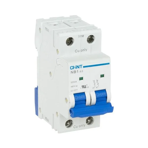 Chint NB1-D32-2P — 2-Pole MCB (DIN Rail) (image 3)