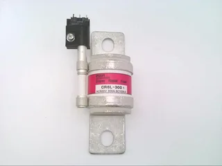 Fuji Electric CR6L-300S/UL