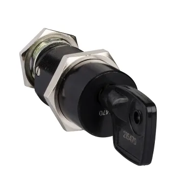 Schneider Electric 33174