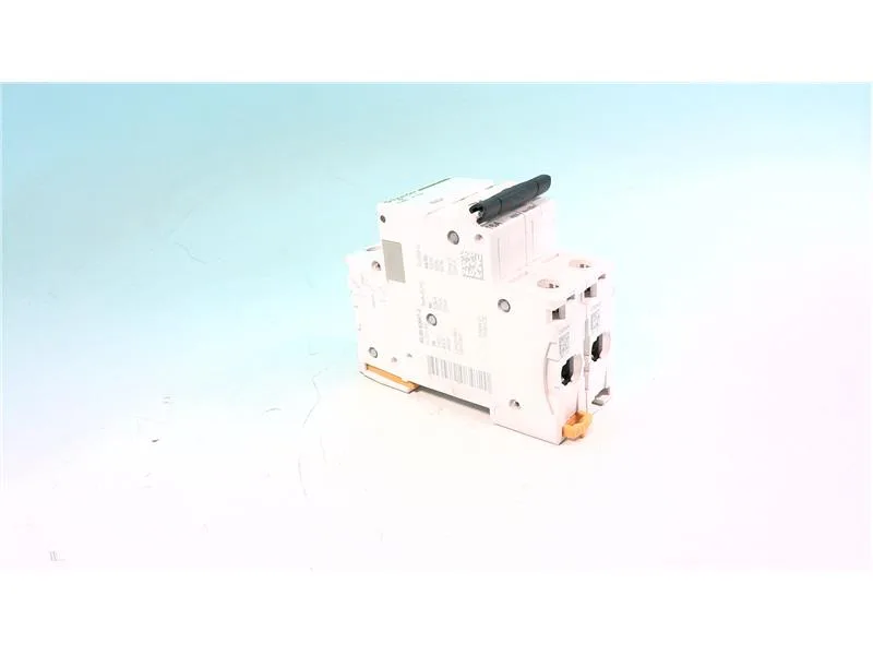 Schneider Electric A9F95216 (image 4)