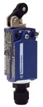 Schneider Electric XCKD3921P16EX — Limit Switches