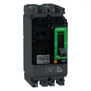 Schneider Electric C10F2TM025