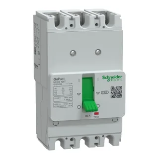 Schneider Electric G12T3F80