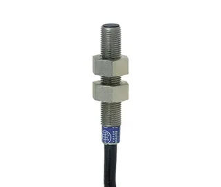 Schneider Electric XS1-N06PA311
