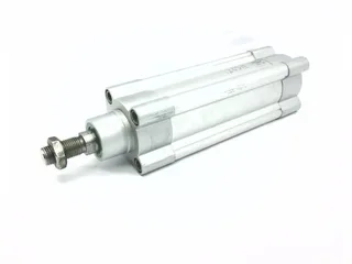 Festo DNCB-50-100-PPV-A